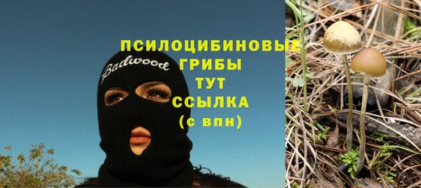 СК Алзамай